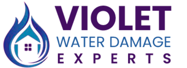 VIOLET WATER DAMAGE EXPERTS 811 W Locust St, Bloomington, IL 61701 (309) 247-1686